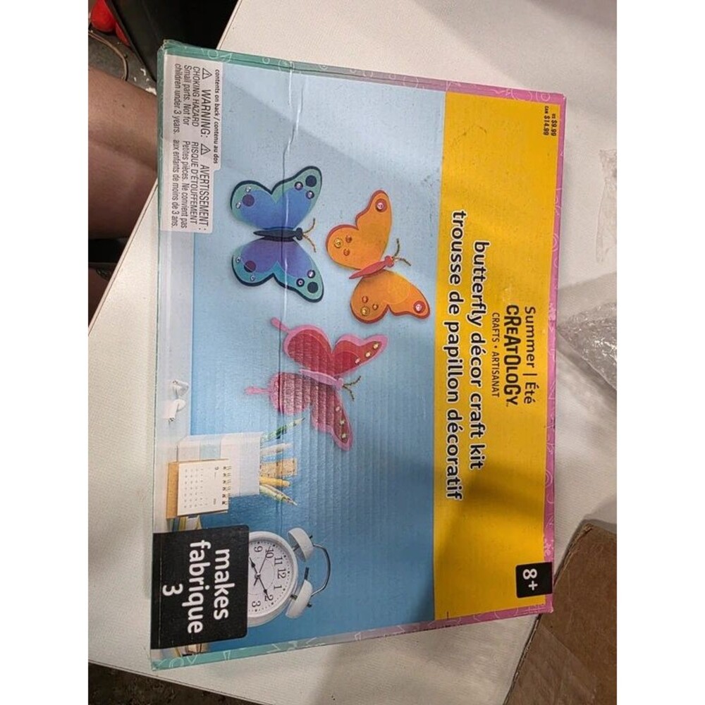 Butterfly craft kit
